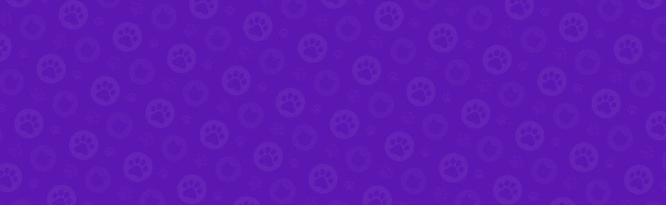 bg image