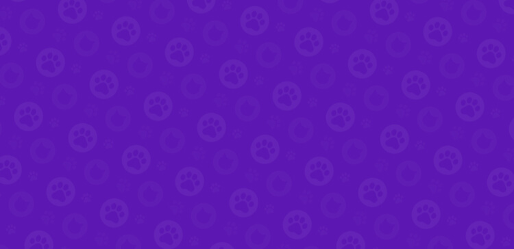 bg image