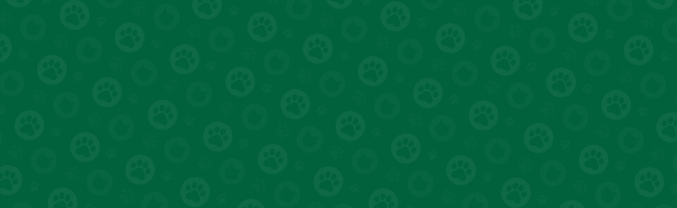 bg image