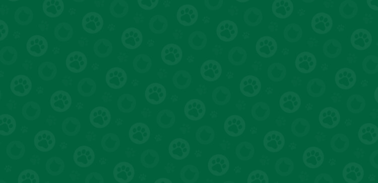 bg image