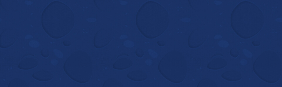 bg image