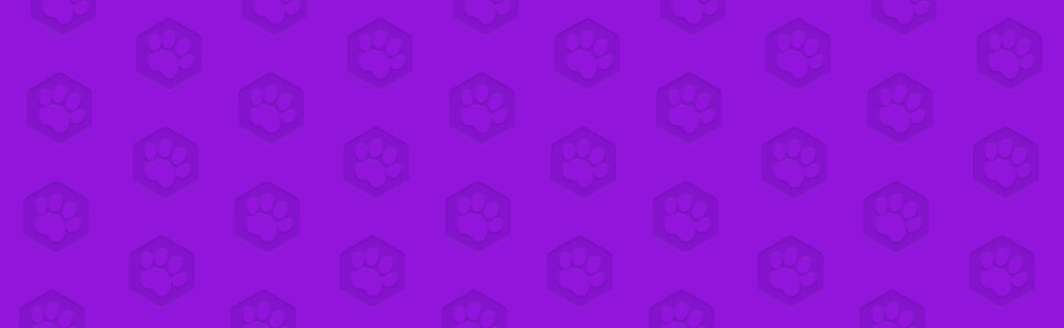bg image