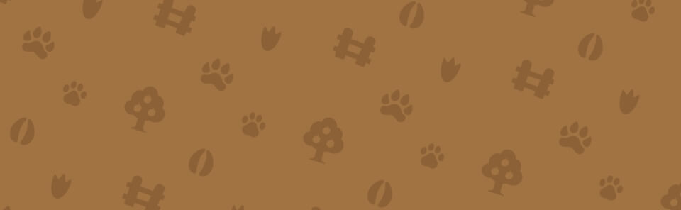 bg image