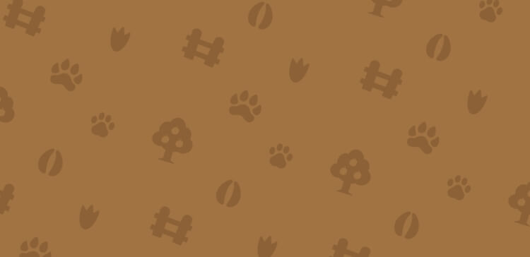 bg image